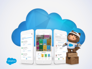 Consumer Goods Cloud (Kizzy Consulting)