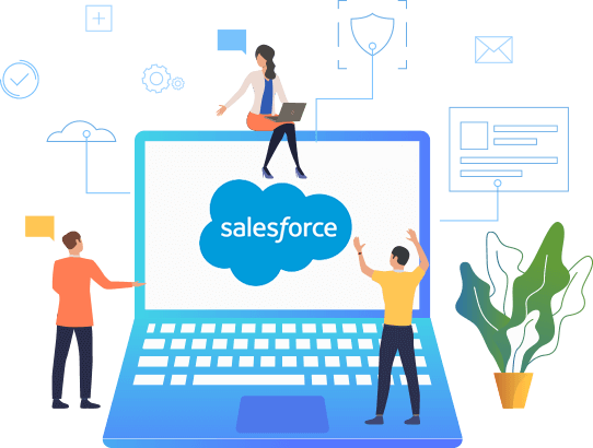 Salesforce Development Service