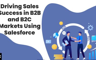 B2B and B2C Sales-Case Study (Kizzy Consulting-Top Salesforce Partner)
