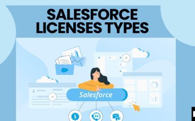 Salesforce Licenses Types(Kizzy Consulting - top Salesforce Partner)