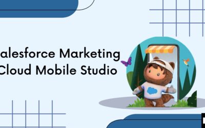 Salesforce Marketing Cloud Mobile Studio