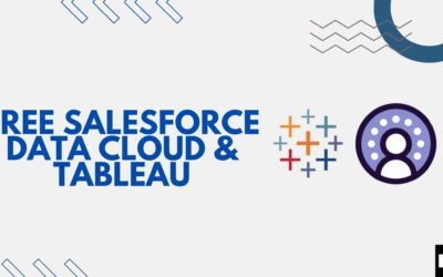 Salesforce Data Cloud and Tableau License (Kizzy Consulting - Top Salesforce Partner)