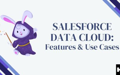 Salesforce Data Cloud (Kizzy Consulting - Top Salesforce Partner)