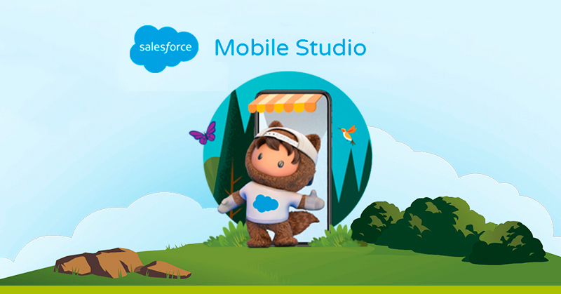 Salesforce Mobile Studio (Kizzy Consulting - Top Salesforce Partner)
