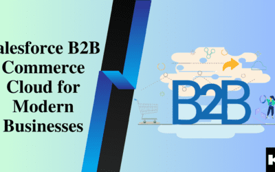 Salesforce B2B Commerce Cloud Implementation(Kizzy Consulting - Top Salesforce Partner)