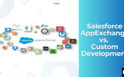 Salesforce AppExchange vs. Custom Development (Kizzy Consulting - Top Salesforce Partner)