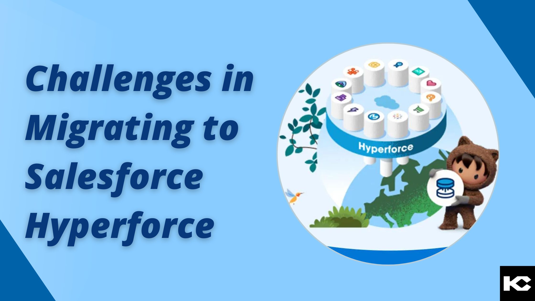 Challenges in Migrating to Salesforce Hyperforce(Kizzy Consulting)