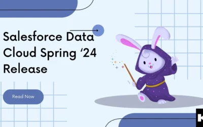 Salesforce Data Cloud Spring ‘24 Release (Kizzy Consulting-Top Salesforce Partner)
