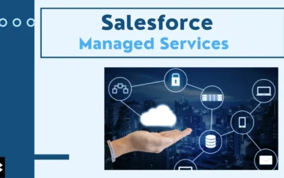 Salesforce Managed Services(Kizzy Consulting-Top Salesforce Partner)