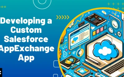 Custom Salesforce AppExchange App(Kizzy Consulting-Top Salesforce Partner)