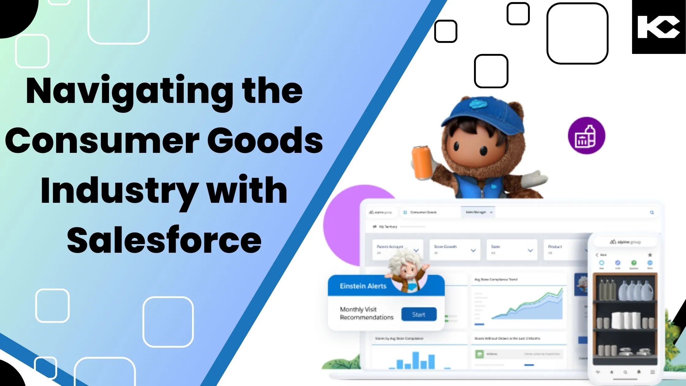 Salesforce Consumer Goods Cloud (Kizzy Consulting)