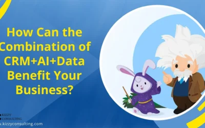 CRM+AI+Data (Kizzy Consulting-Top Salesforce Partner)