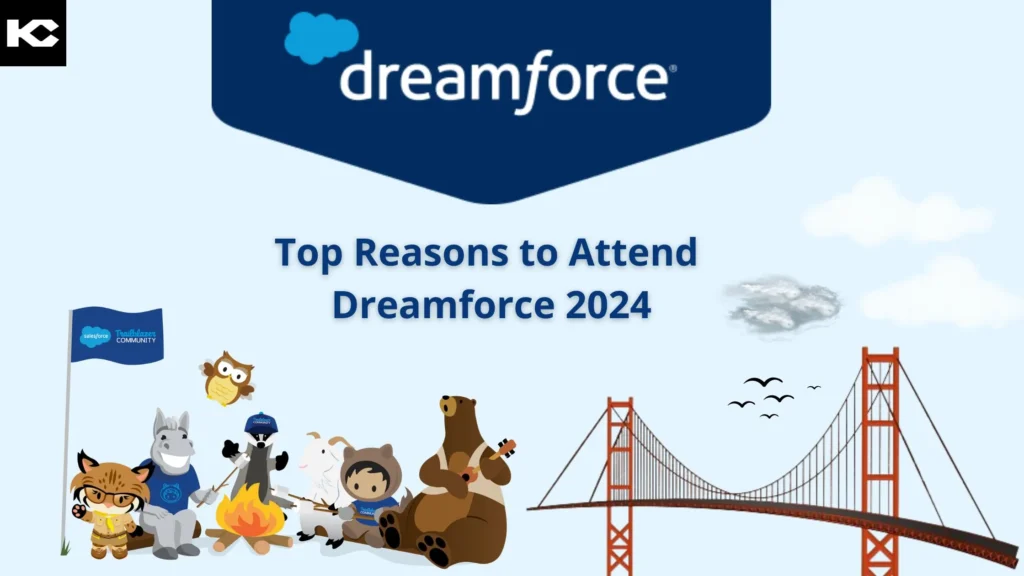 Top Reasons to attend Dreamforce 2024 (Kizzy Consulting)