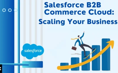 Salesforce B2B Commerce Cloud (Kizzy Consulting-Top Salesforce Partner)